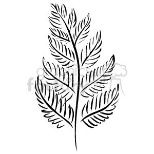 Fern Leaf Line Art – Nature Inspired