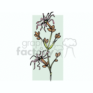 Illustration of stylized brown and pink flowers with green stems on a light green background.