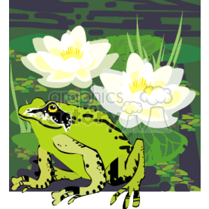 The clipart image shows a green frog in the foreground, with two white lotus flowers in the background. The scene also includes green lily pads and other swamp-like greenery.
