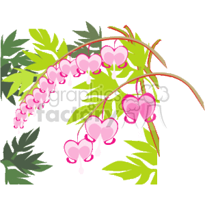 The clipart image shows a stylized depiction of bleeding heart flowers, with their characteristic heart-shaped pink blooms dangling from a curving stem, accompanied by green foliage.