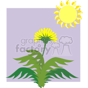 The clipart image shows a stylized yellow dandelion flower with a green stem and leaves. In the background, there's a representation of the sun with rays extending outward. The background is divided into a lilac-colored top and a white bottom, suggesting a horizon or ground line.
