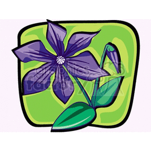 Illustration of a purple flower with green leaves and stem, set against a light green background.