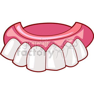 denture teeth 