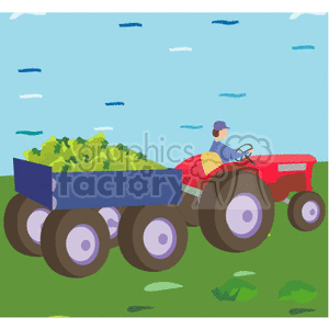 A clipart image of a farmer driving a red tractor with a trailer full of harvest on a farm.