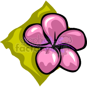 The image depicts a stylized clipart of a pink plumeria flower with a yellow-green leaf in the background. The flower has five petals, each with a gradient of pink and prominent shading, suggesting a three-dimensional appearance.