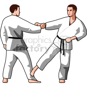 karate003