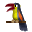 small tucan bird