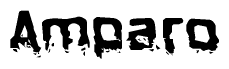 The image contains the word Amparo in a stylized font with a static looking effect at the bottom of the words