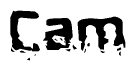 This nametag says Cam, and has a static looking effect at the bottom of the words. The words are in a stylized font.