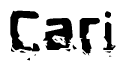 The image contains the word Cari in a stylized font with a static looking effect at the bottom of the words