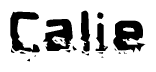 The image contains the word Calie in a stylized font with a static looking effect at the bottom of the words