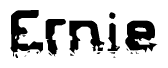 The image contains the word Ernie in a stylized font with a static looking effect at the bottom of the words