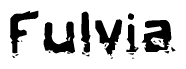   This nametag says Fulvia, and has a static looking effect at the bottom of the words. The words are in a stylized font. 