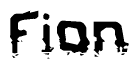   The image contains the word Fion in a stylized font with a static looking effect at the bottom of the words 