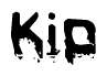This nametag says Kip, and has a static looking effect at the bottom of the words. The words are in a stylized font.
