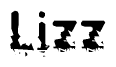 The image contains the word Lizz in a stylized font with a static looking effect at the bottom of the words