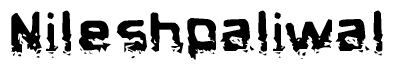 The image contains the word Nileshpaliwal in a stylized font with a static looking effect at the bottom of the words