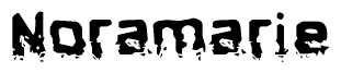 The image contains the word Noramarie in a stylized font with a static looking effect at the bottom of the words