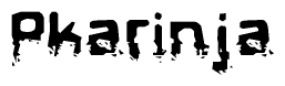 This nametag says Pkarinja, and has a static looking effect at the bottom of the words. The words are in a stylized font.