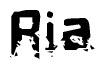 This nametag says Ria, and has a static looking effect at the bottom of the words. The words are in a stylized font.