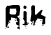 This nametag says Rik, and has a static looking effect at the bottom of the words. The words are in a stylized font.