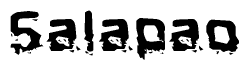 This nametag says Salapao, and has a static looking effect at the bottom of the words. The words are in a stylized font.