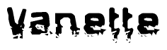 The image contains the word Vanette in a stylized font with a static looking effect at the bottom of the words