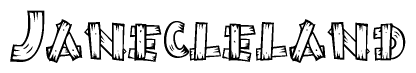 The image contains the name Janecleland written in a decorative, stylized font with a hand-drawn appearance. The lines are made up of what appears to be planks of wood, which are nailed together