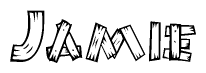 The image contains the name Jamie written in a decorative, stylized font with a hand-drawn appearance. The lines are made up of what appears to be planks of wood, which are nailed together