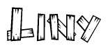 The clipart image shows the name Liny stylized to look like it is constructed out of separate wooden planks or boards, with each letter having wood grain and plank-like details.