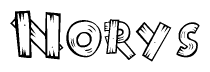 The image contains the name Norys written in a decorative, stylized font with a hand-drawn appearance. The lines are made up of what appears to be planks of wood, which are nailed together