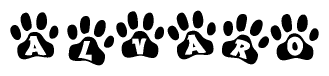 The image shows a series of animal paw prints arranged in a horizontal line. Each paw print contains a letter, and together they spell out the word Alvaro.