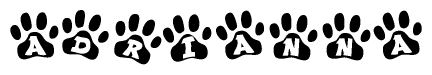The image shows a series of animal paw prints arranged in a horizontal line. Each paw print contains a letter, and together they spell out the word Adrianna.