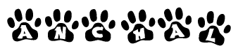 The image shows a row of animal paw prints, each containing a letter. The letters spell out the word Anchal within the paw prints.