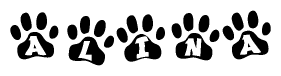The image shows a series of animal paw prints arranged in a horizontal line. Each paw print contains a letter, and together they spell out the word Alina.