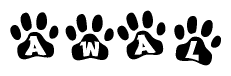 The image shows a series of animal paw prints arranged in a horizontal line. Each paw print contains a letter, and together they spell out the word Awal.