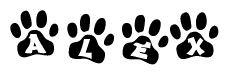 The image shows a series of animal paw prints arranged in a horizontal line. Each paw print contains a letter, and together they spell out the word Alex.