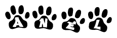 The image shows a series of animal paw prints arranged horizontally. Within each paw print, there's a letter; together they spell Anel