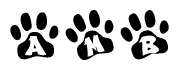 The image shows a row of animal paw prints, each containing a letter. The letters spell out the word Amb within the paw prints.