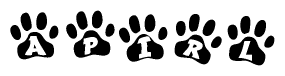 The image shows a series of animal paw prints arranged in a horizontal line. Each paw print contains a letter, and together they spell out the word Apirl.