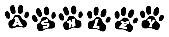 The image shows a series of animal paw prints arranged in a horizontal line. Each paw print contains a letter, and together they spell out the word Ashley.