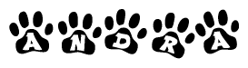 The image shows a row of animal paw prints, each containing a letter. The letters spell out the word Andra within the paw prints.