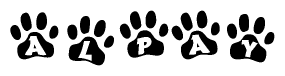 The image shows a series of animal paw prints arranged horizontally. Within each paw print, there's a letter; together they spell Alpay