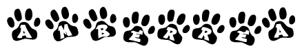The image shows a series of animal paw prints arranged in a horizontal line. Each paw print contains a letter, and together they spell out the word Amberrea.