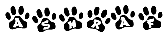 The image shows a series of animal paw prints arranged in a horizontal line. Each paw print contains a letter, and together they spell out the word Ashraf.