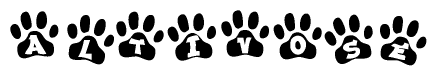 The image shows a row of animal paw prints, each containing a letter. The letters spell out the word Altivose within the paw prints.
