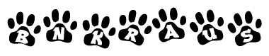 The image shows a series of animal paw prints arranged in a horizontal line. Each paw print contains a letter, and together they spell out the word Bnkraus.