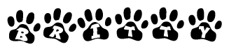 The image shows a row of animal paw prints, each containing a letter. The letters spell out the word Britty within the paw prints.
