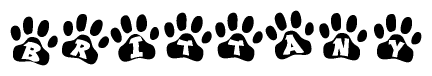 The image shows a row of animal paw prints, each containing a letter. The letters spell out the word Brittany within the paw prints.