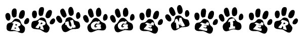 The image shows a row of animal paw prints, each containing a letter. The letters spell out the word Bruggemeier within the paw prints.